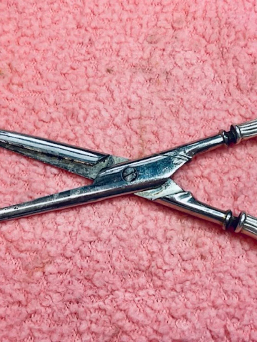Victorian Grape Shears 7